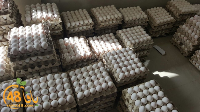 trod ramla kheri (9).jpg